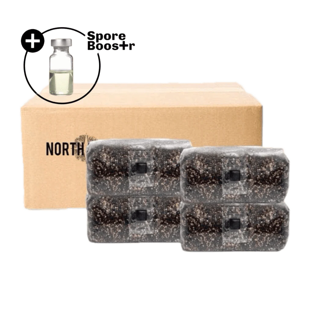 4-pack 'ShroomTek' + Spore Boostr All-in-One Mushroom Grow Bag