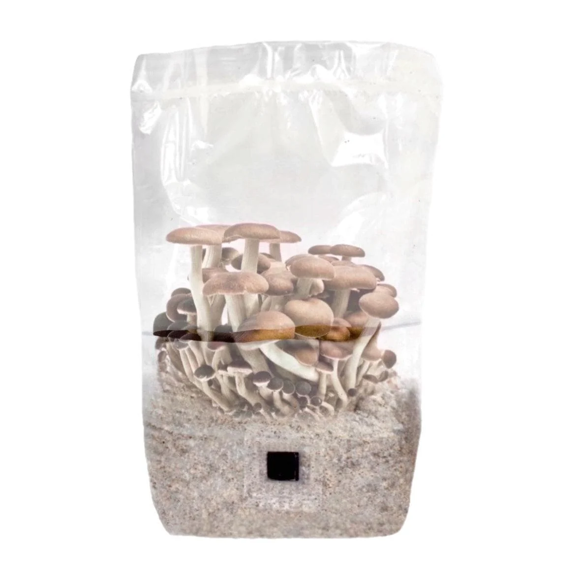 4-pack 'ShroomTek' + Spore Boostr All-in-One Mushroom Grow Bag - Image 2