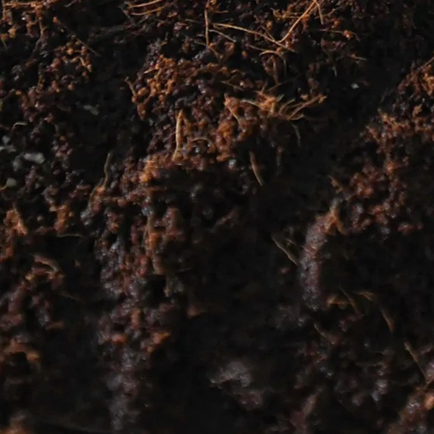 8-Pack ‘Boomr Bag’ Manure-Based Sterile Mushroom Substrate - Image 2