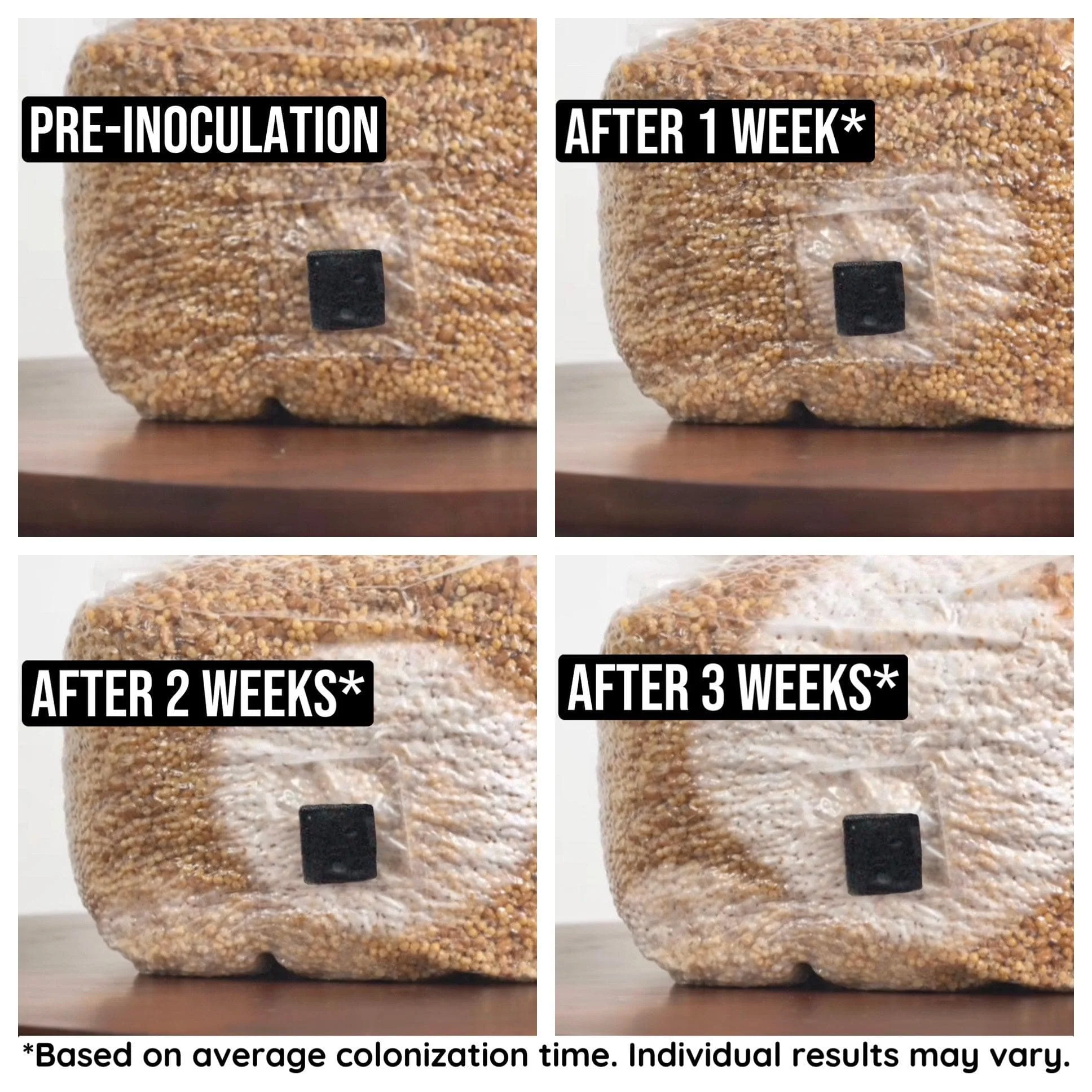 8-Pack Organic Sterilized Grain Spawn Bags - Image 2