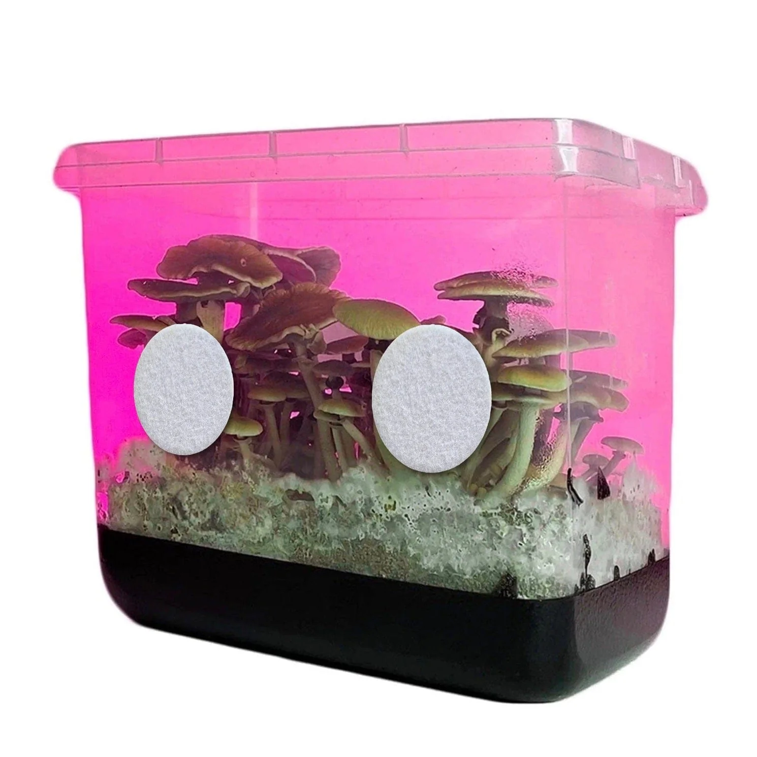 1" Adhesive Monotub 100% Cotton Disc Filters - Image 3