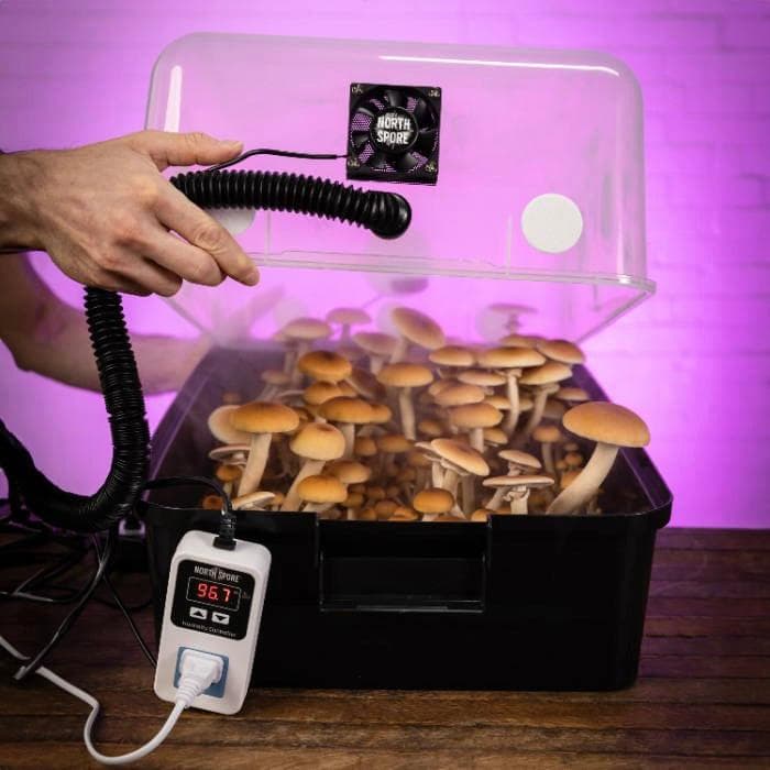 Automated 'Boomr Bin' Wood-Loving Monotub Mushroom Grow Kit - Image 3