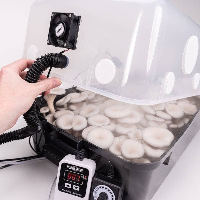 Automated 'Boomr Bin' + CVG Monotub Mushroom Grow Kit - Image 7