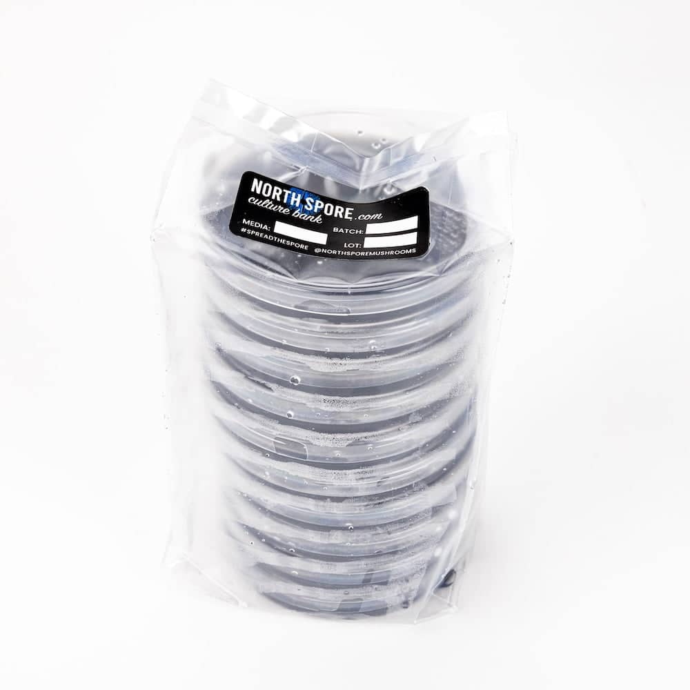 Black Biochar Pre-Poured Sterile Agar Plates - Image 2