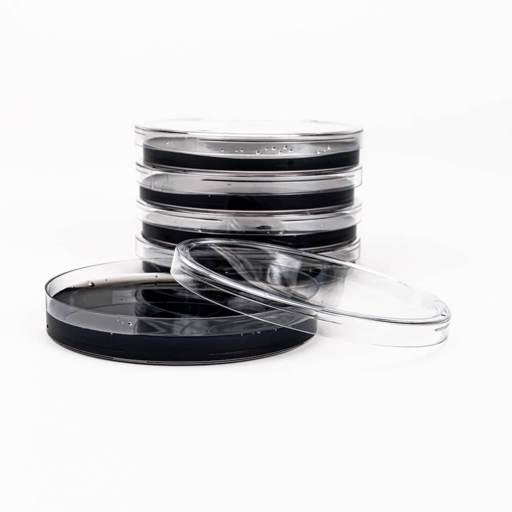 Black Biochar Pre-Poured Sterile Agar Plates - Image 3