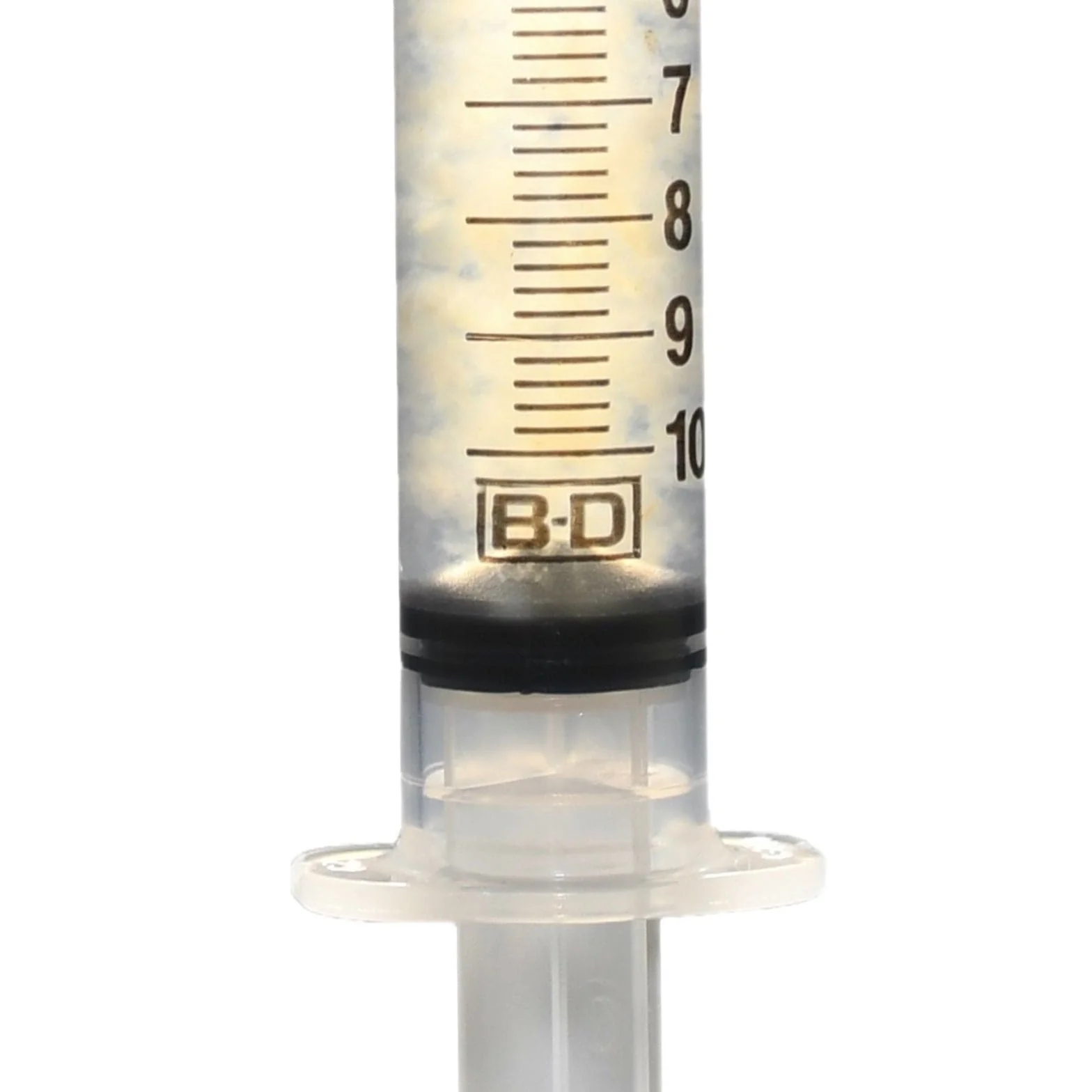 Organic Blewit Mushroom Liquid Culture Syringe - Image 4