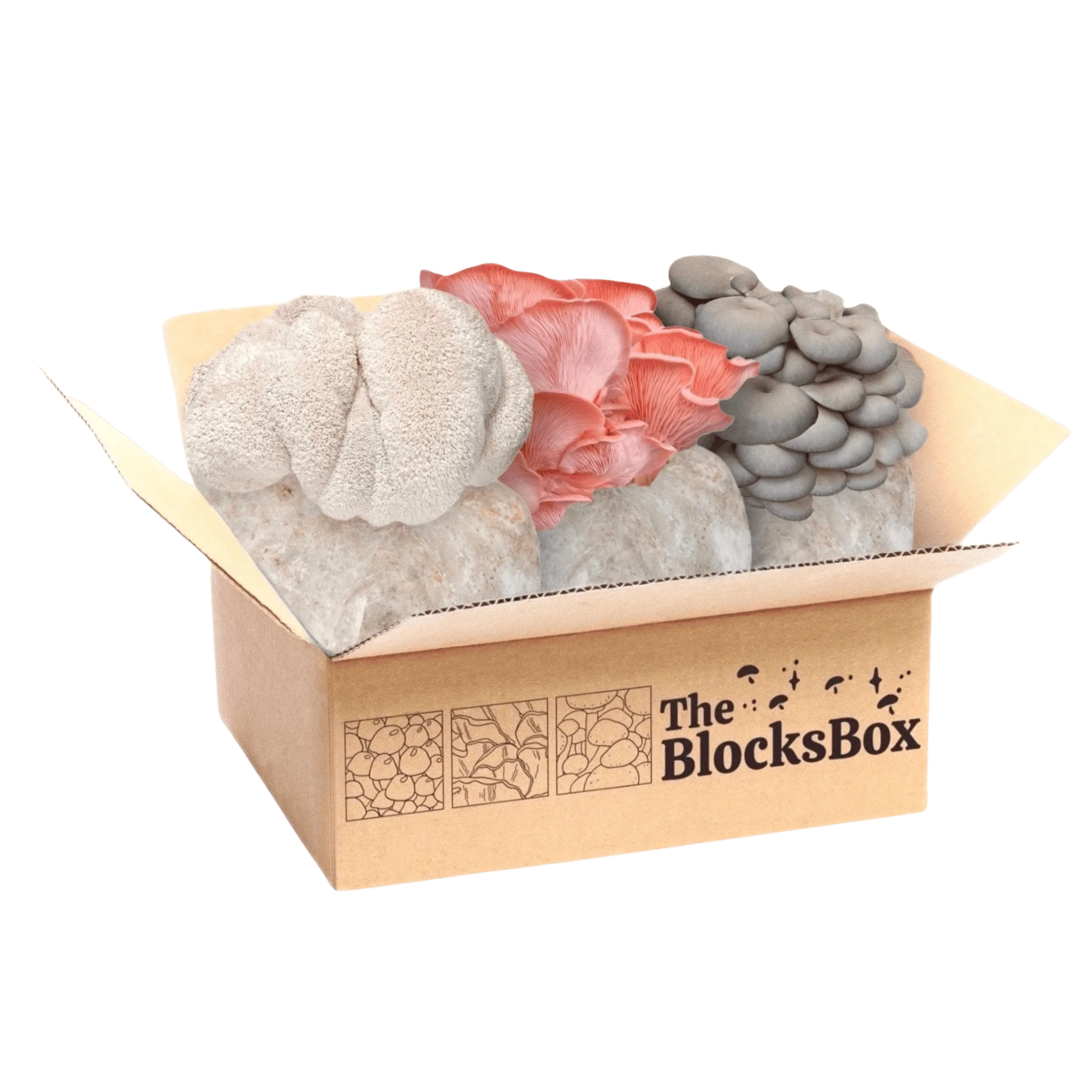 'The BlocksBox' Organic Mushroom Grow Kit Subscription