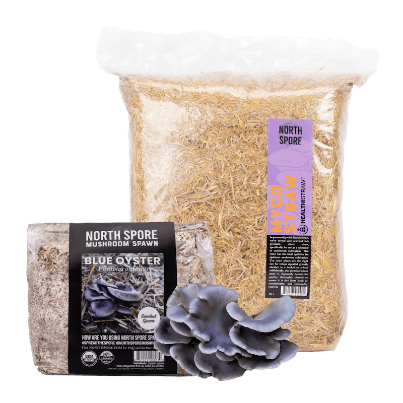 Blue Oyster Mushroom Garden Bed Kit