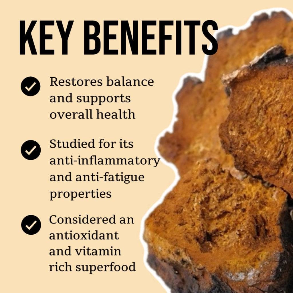 Organic Chaga Mushroom Tincture - Image 3