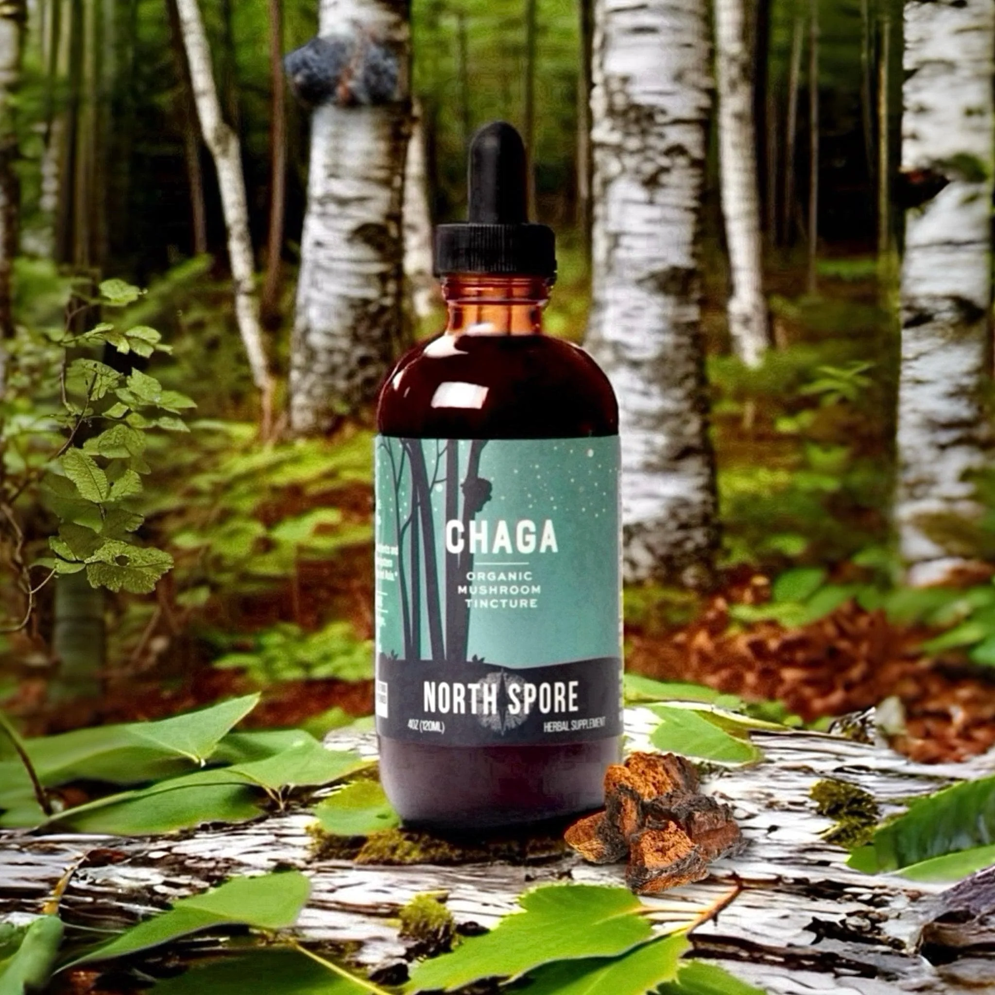 Organic Chaga Mushroom Tincture - Image 6