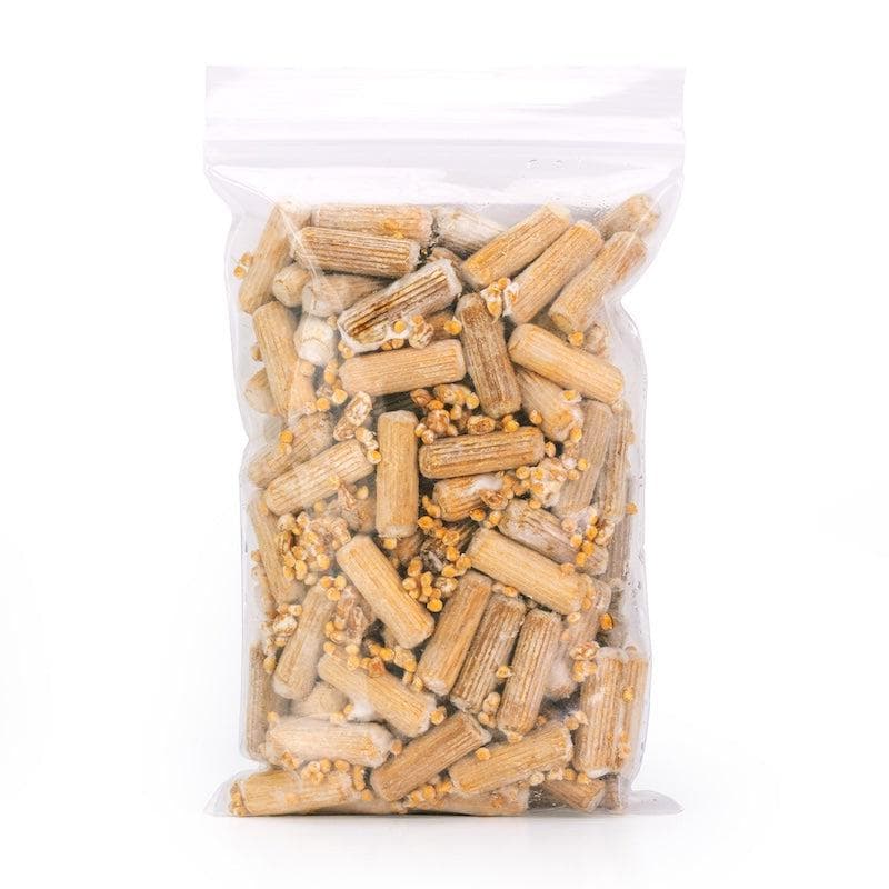 Organic Chestnut Mushroom Plug Spawn - Image 2