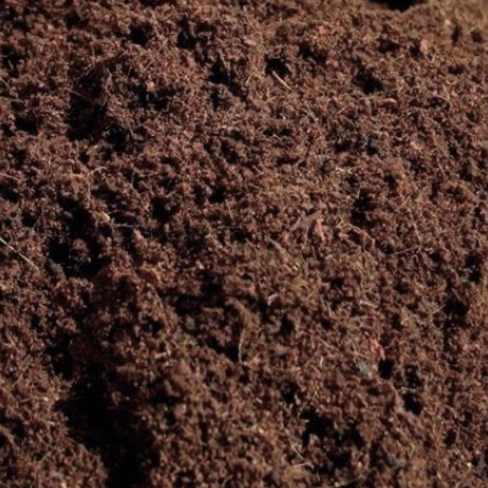 'Myco Coco' Loose Coco Coir Substrate & Casing Layer - Image 3