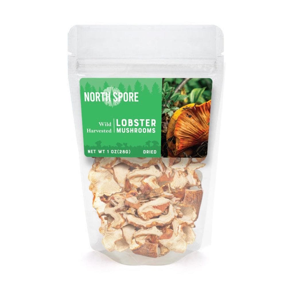 Dried Wild Mushrooms Variety Pack - Image 4