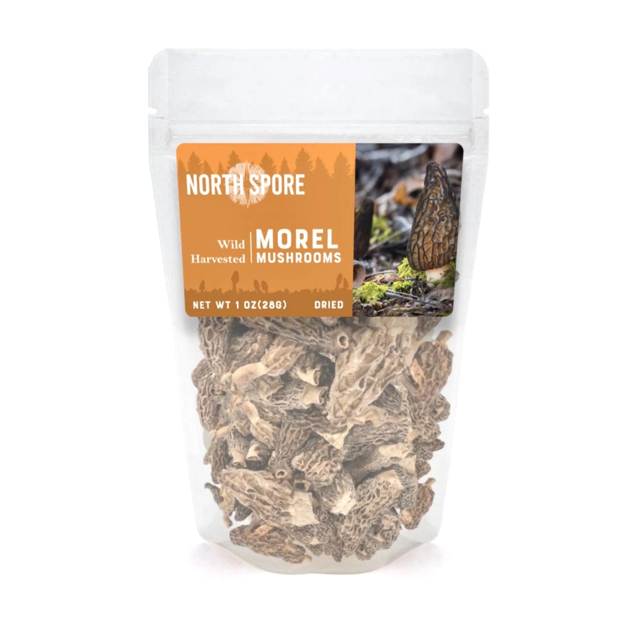 Dried Wild Mushrooms Variety Pack - Image 7