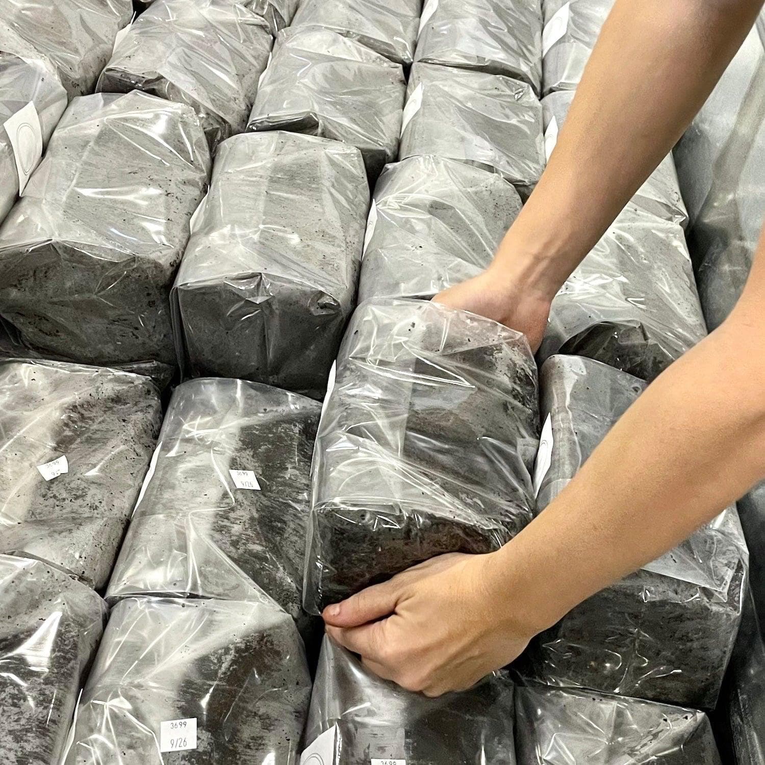 8-Pack CVG (Coco Vermiculite Gypsum) Sterile Bulk Substrate - Image 5