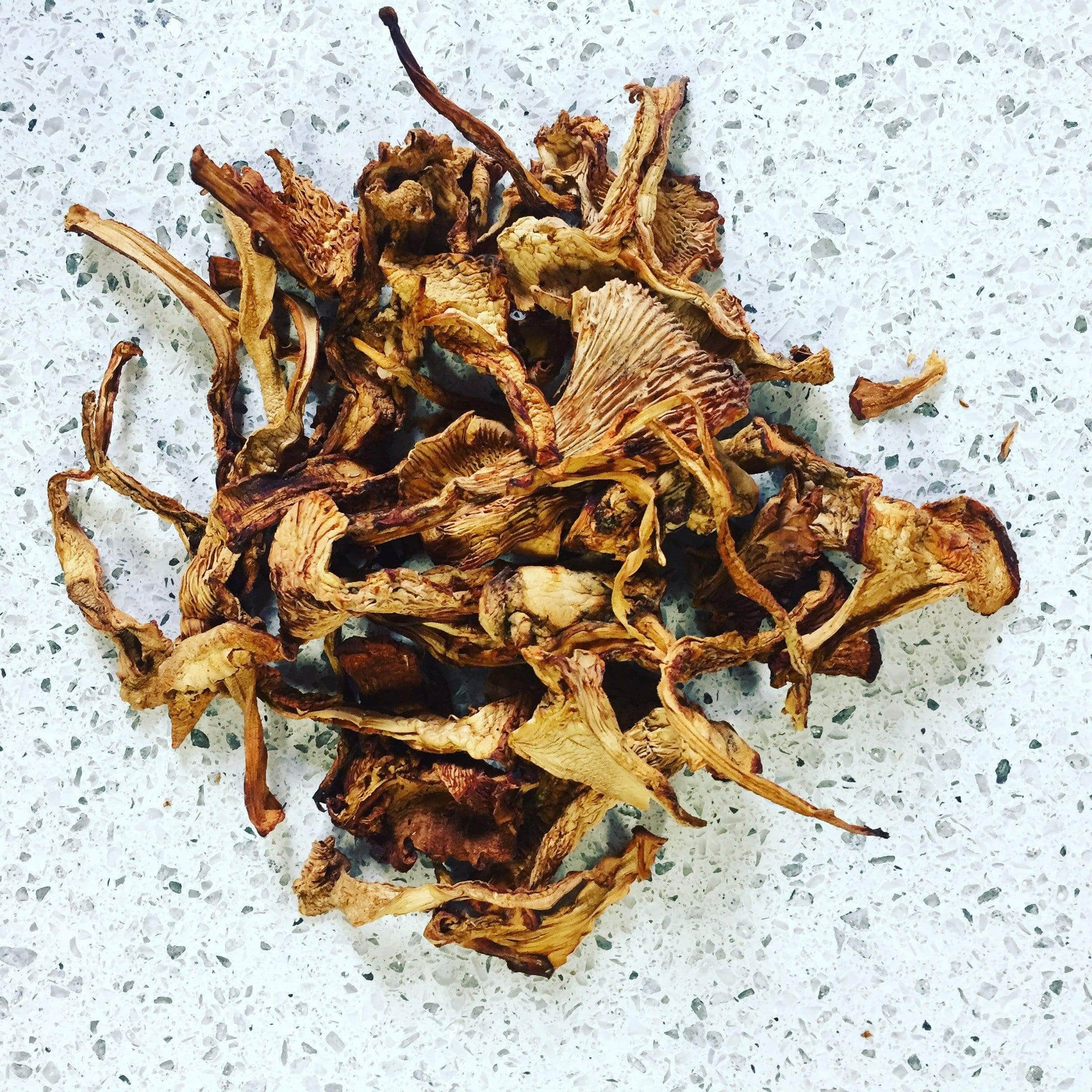Dried Wild Chanterelle Mushrooms - Image 3