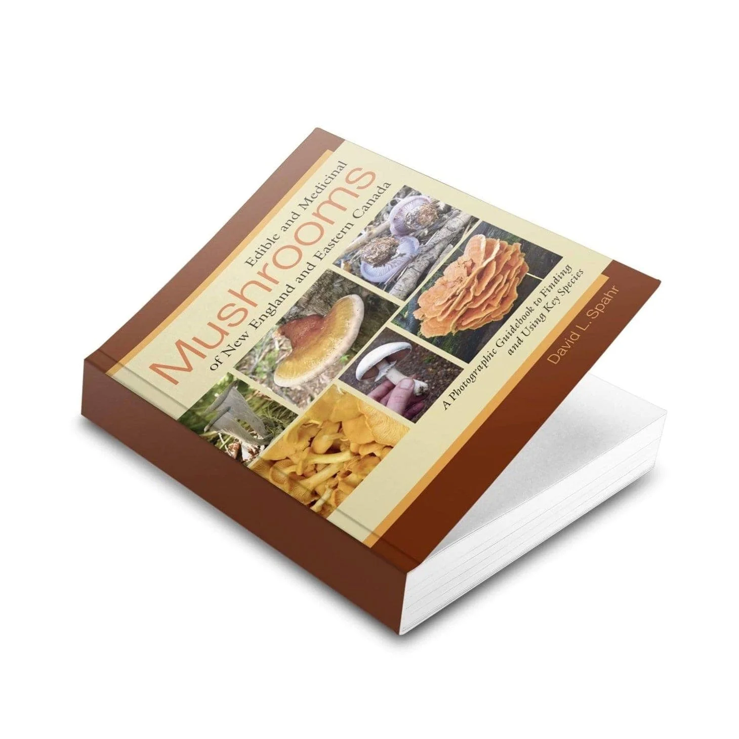 Edible & Medicinal Mushrooms of New England - Image 2