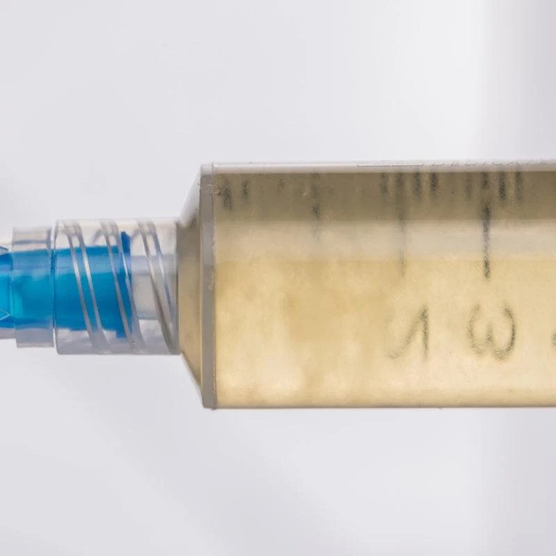 Organic Elm Oyster Mushroom Liquid Culture Syringe - Image 6