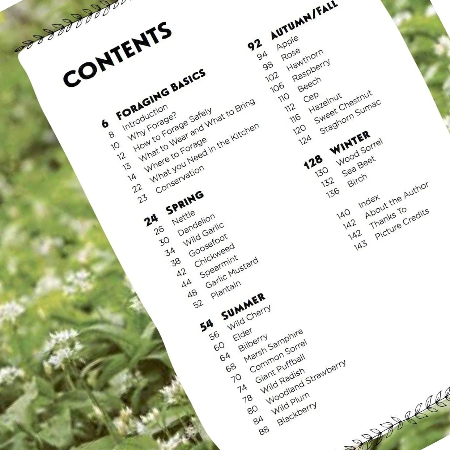 Family Foraging: A Fun Guide to Eating Wild Plants - Image 3