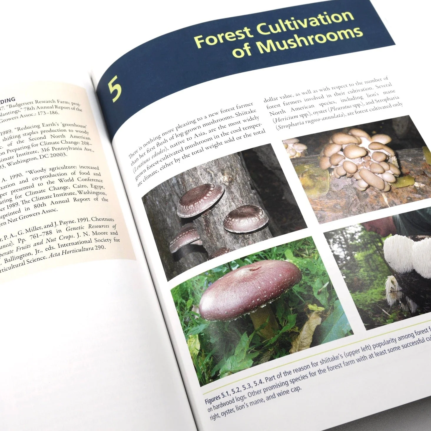 Farming the Woods: An Integrated Permaculture Approach - Image 3
