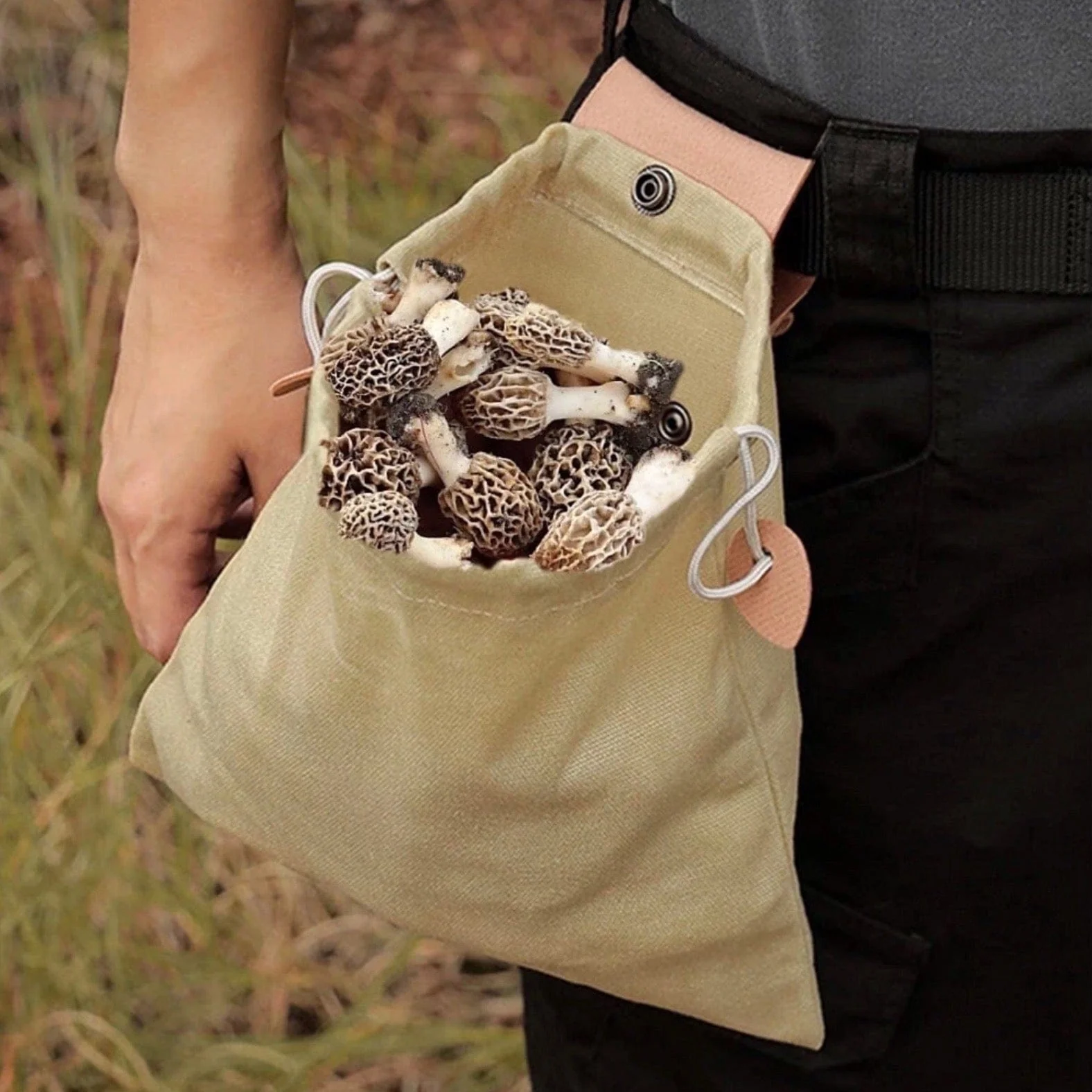 Perfect Mushroom Forager Set - Image 5
