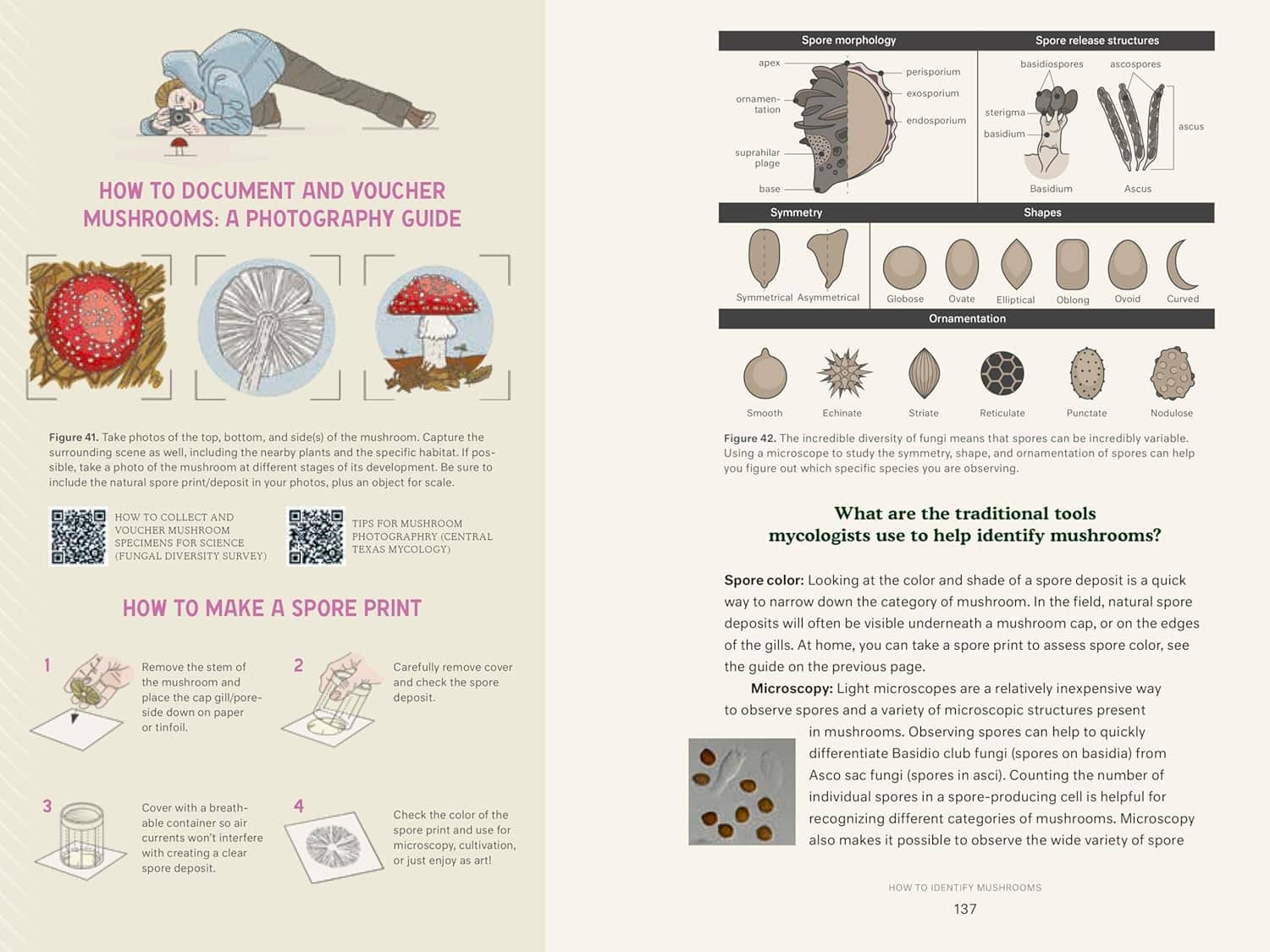 Perfect Mushroom Forager Set - Image 7