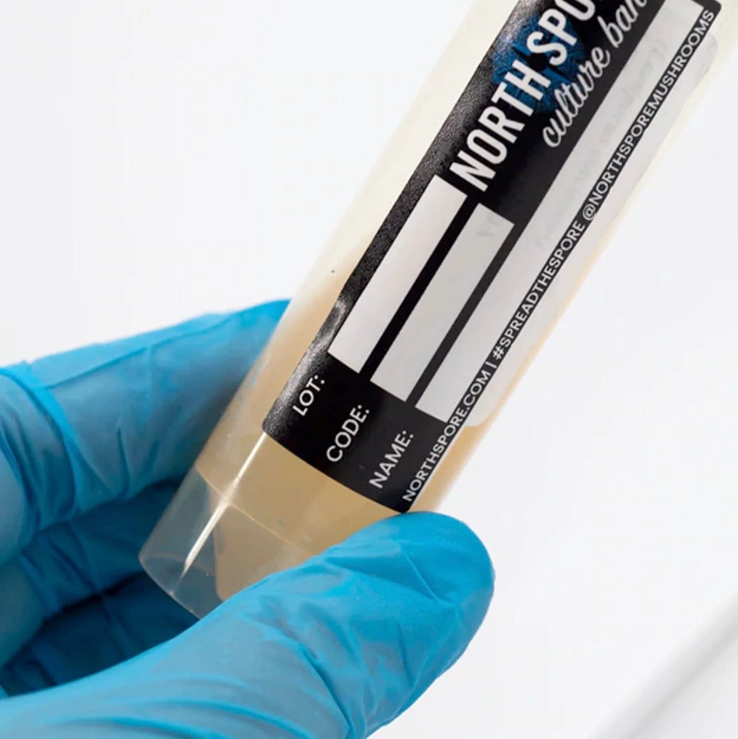 Golden Oyster Mushroom Slant Culture - Image 2