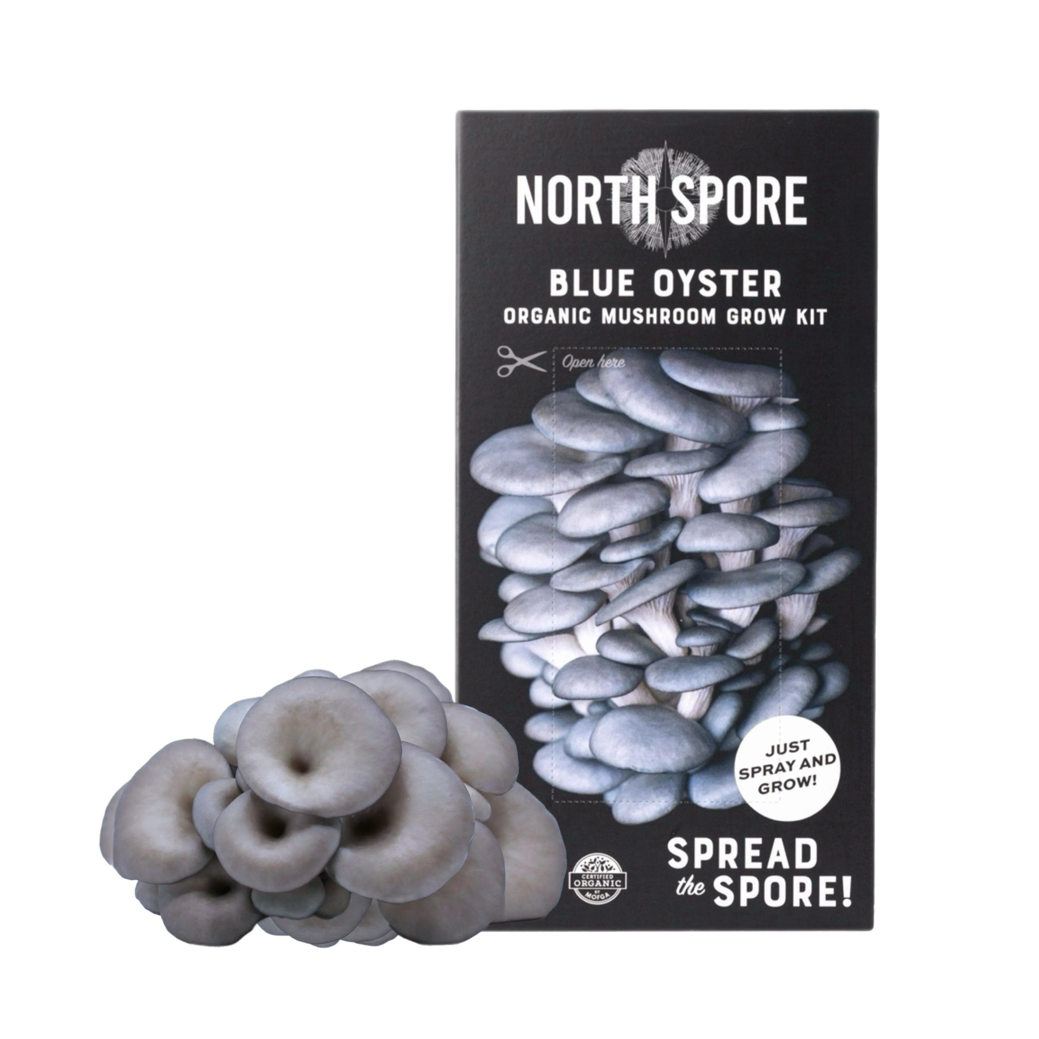 Organic Blue Oyster ‘Spray & Grow’ Mushroom Growing Kit - Image 4
