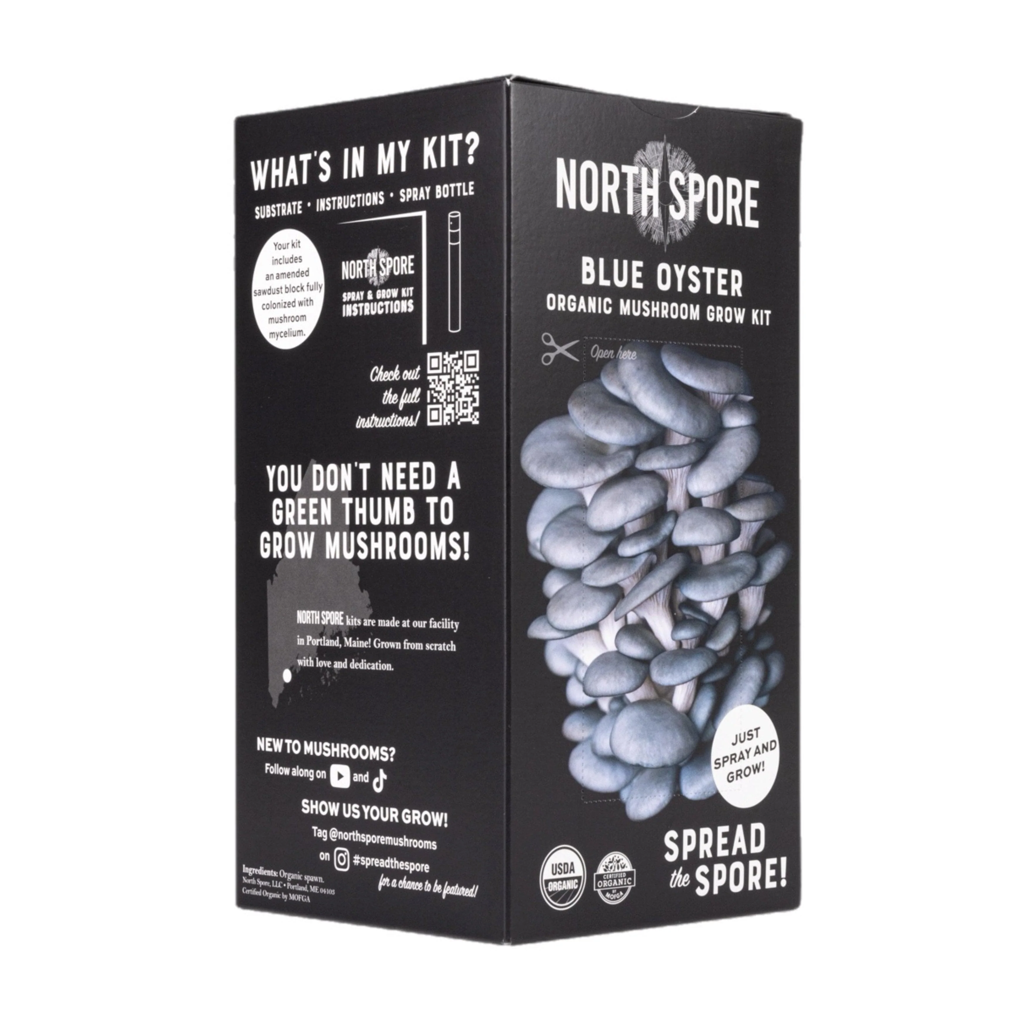 Organic Blue Oyster ‘Spray & Grow’ Mushroom Growing Kit - Image 5