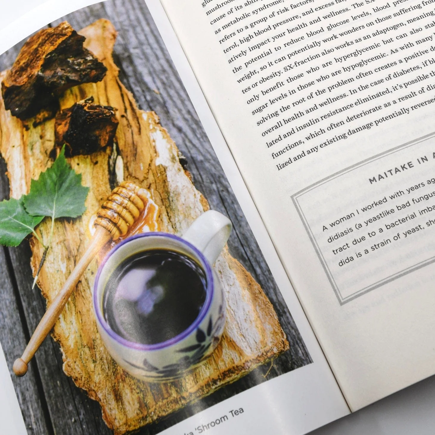 Healing Mushrooms: A Practical & Culinary Guide - Image 3