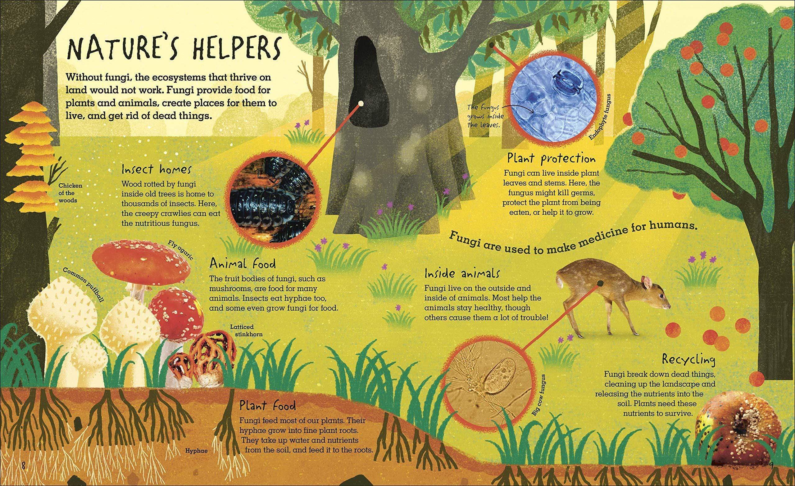 Humongous Fungus: The Wonderful Kingdom of Fungi - Image 3