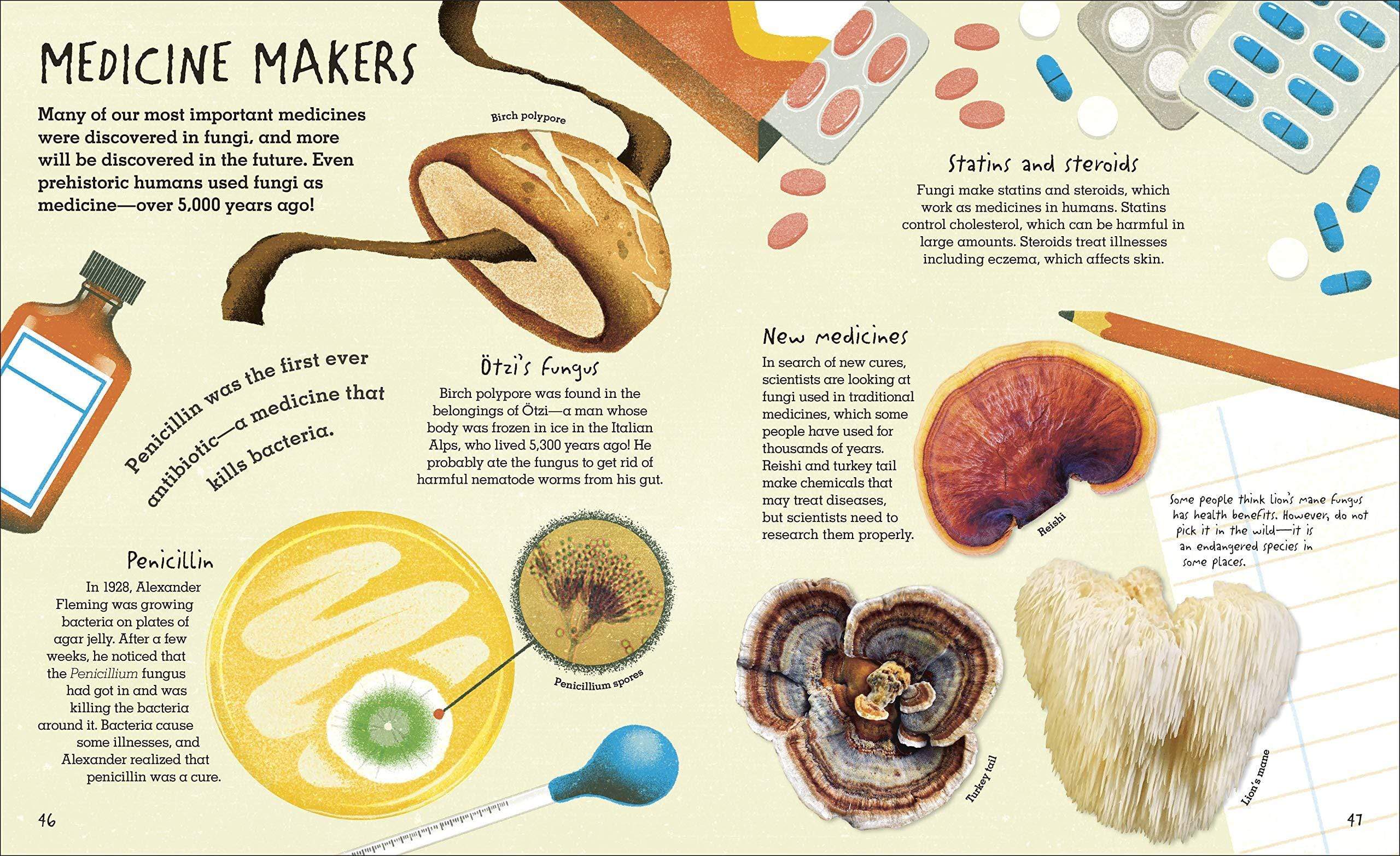 Humongous Fungus: The Wonderful Kingdom of Fungi - Image 4