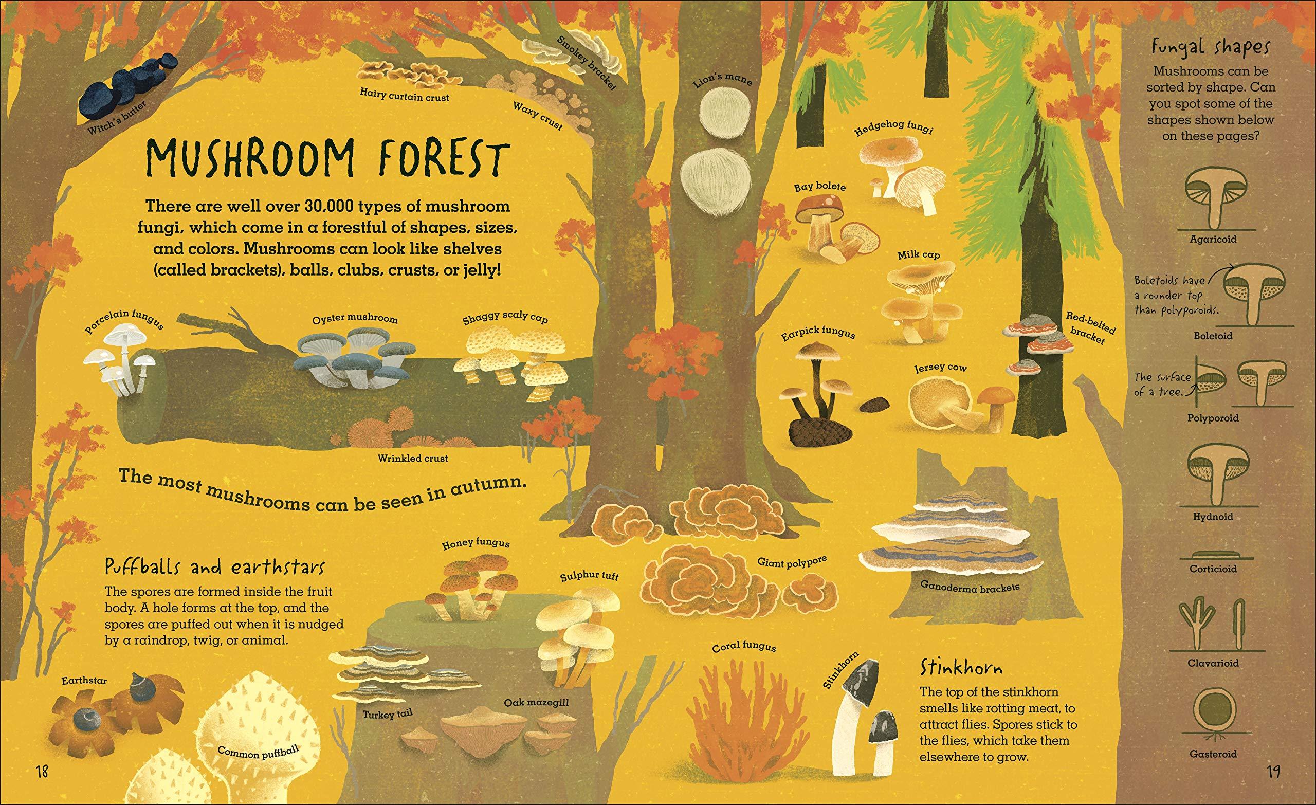 Humongous Fungus: The Wonderful Kingdom of Fungi - Image 5