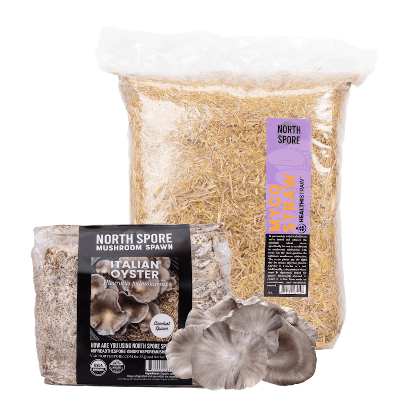 All Outdoor Mushroom Growing