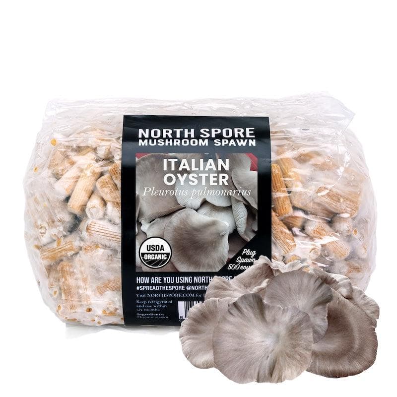Organic Italian Oyster Mushroom Plug Spawn - Image 7