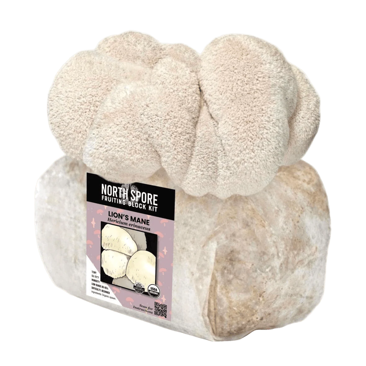 Organic Lion's Mane Mushroom Grow Kit Fruiting Block
