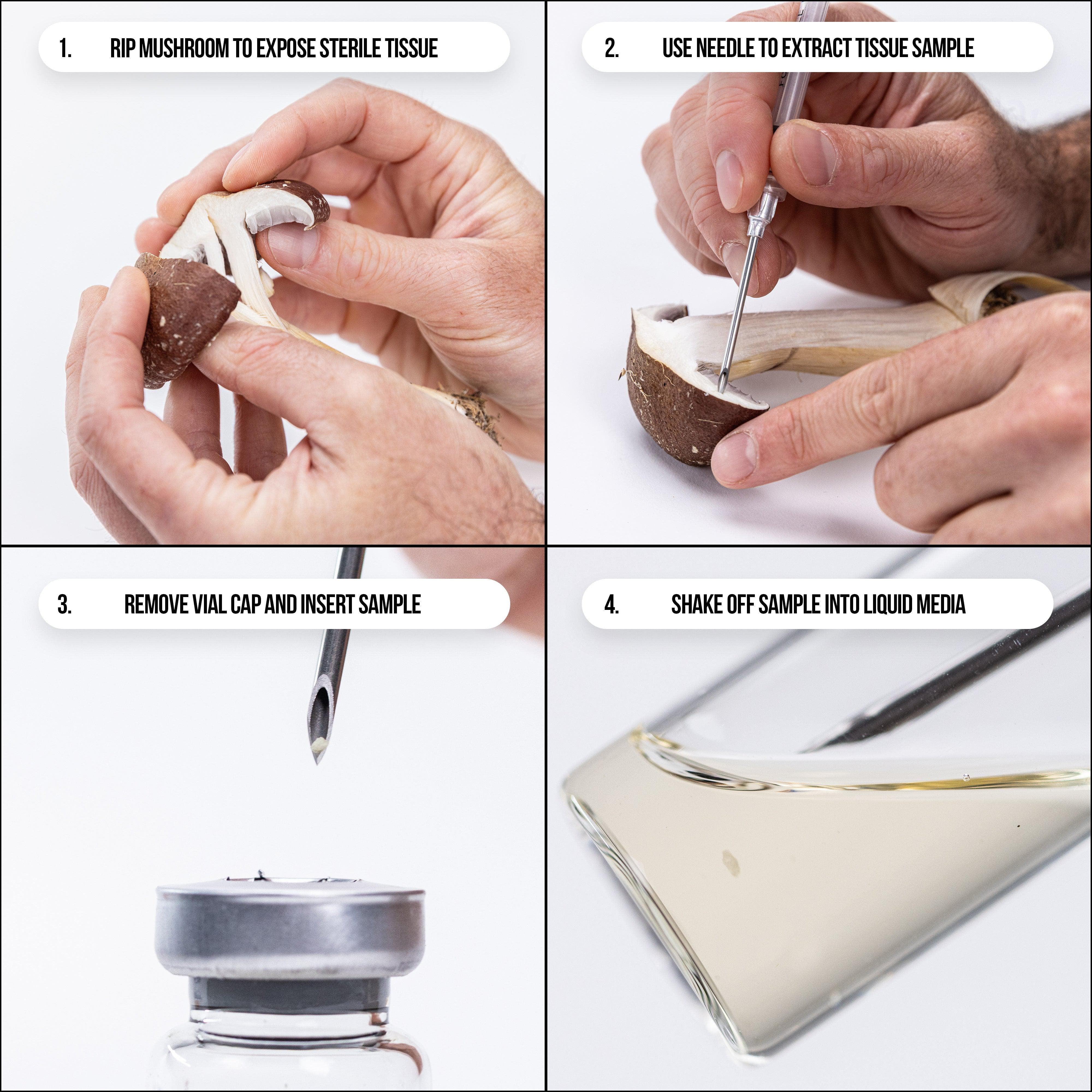 Liquid Culture Cloning Kit - Image 6