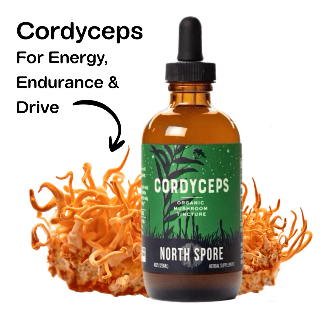 Mind & Body Mushroom Tincture Variety Pack (Large) - Image 4