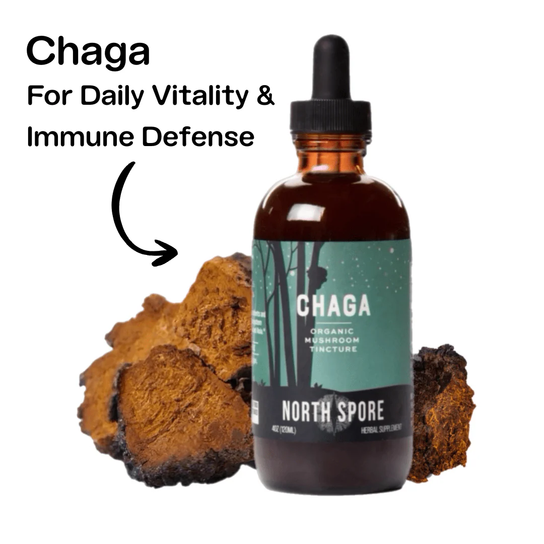 Mind & Body Mushroom Tincture Variety Pack (Large) - Image 5