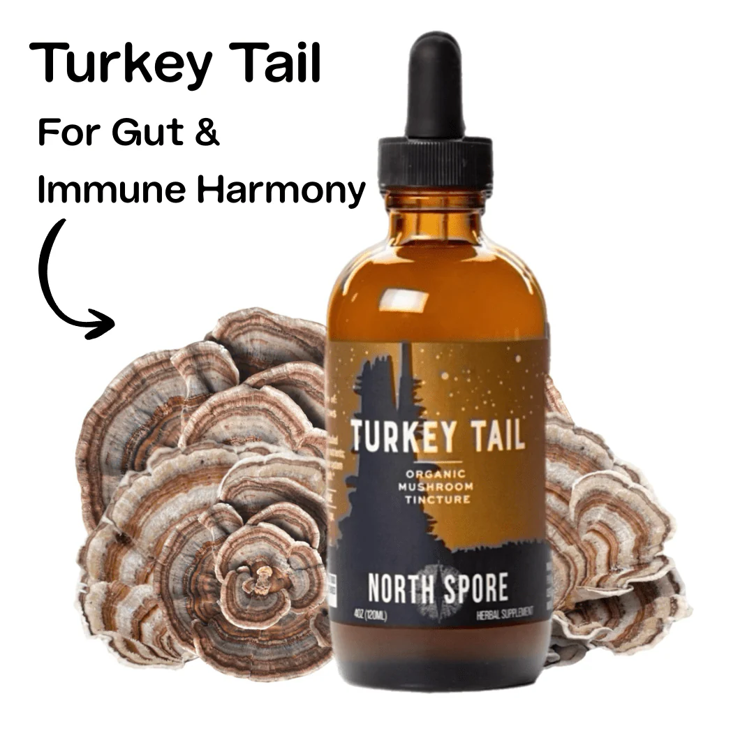 Mind & Body Mushroom Tincture Variety Pack (Large) - Image 6