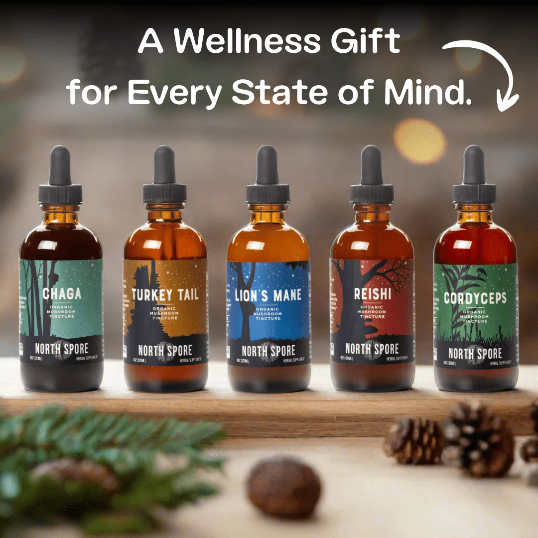 Mind & Body Mushroom Tincture Variety Pack (Large) - Image 7