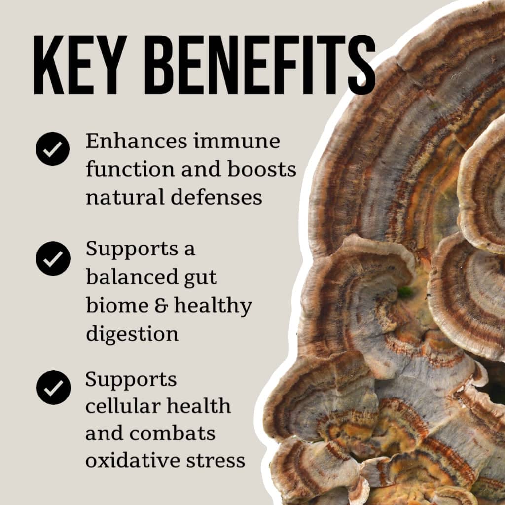 Mind & Body Mushroom Tincture Variety Pack (Small) - Image 3
