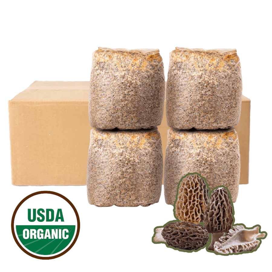 Morel Garden Kit
