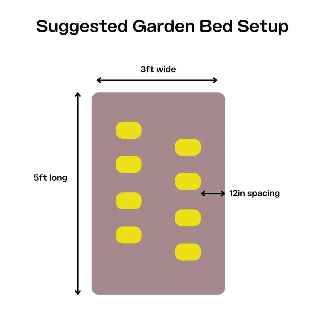 Morel Garden Kit - Image 8