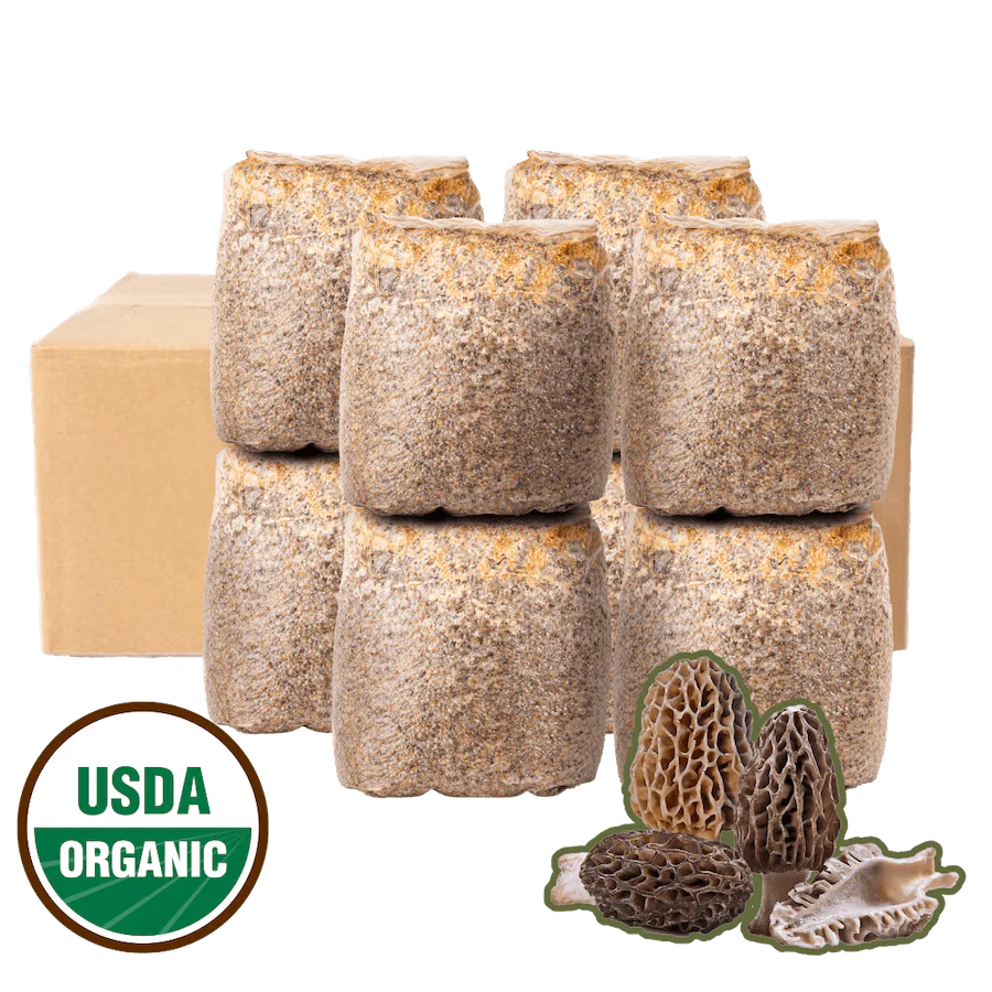 Morel Garden Kit - Image 9