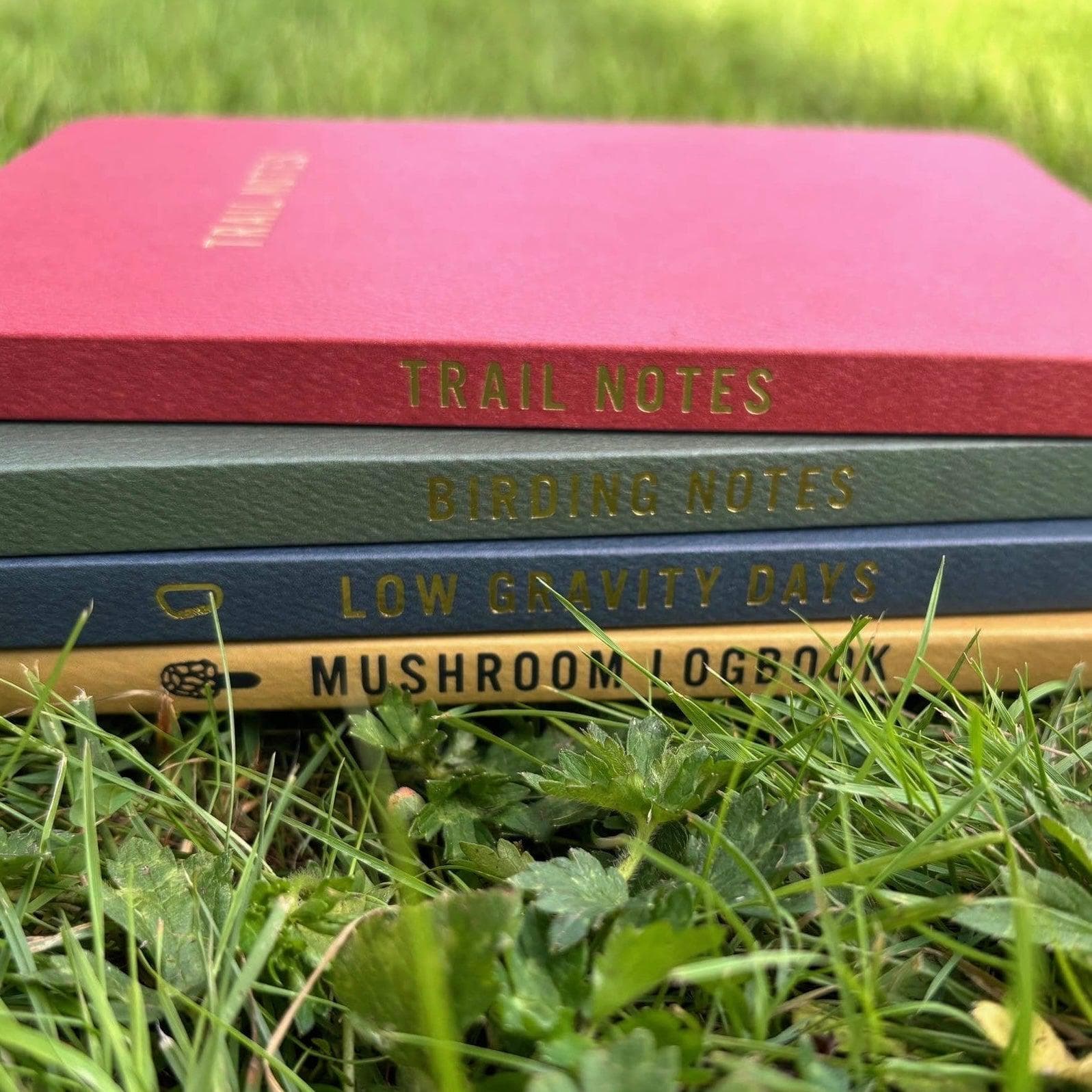 Mountaineers Books Log Book - Image 3