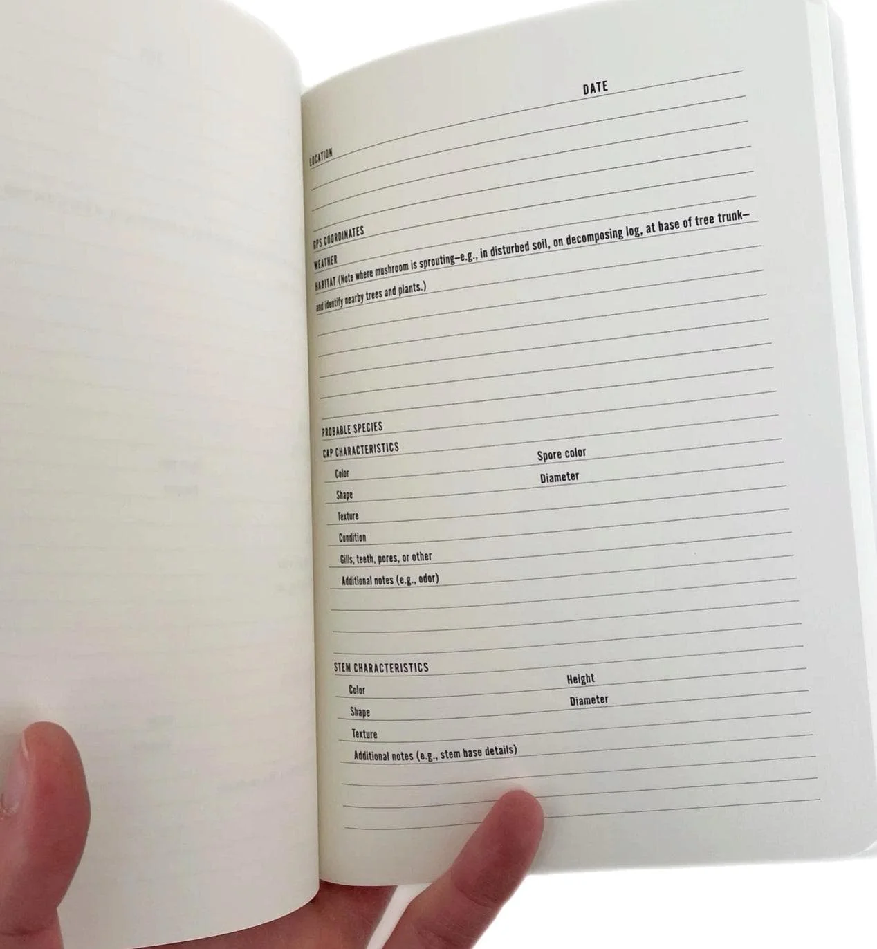 Mountaineers Books Log Book - Image 4