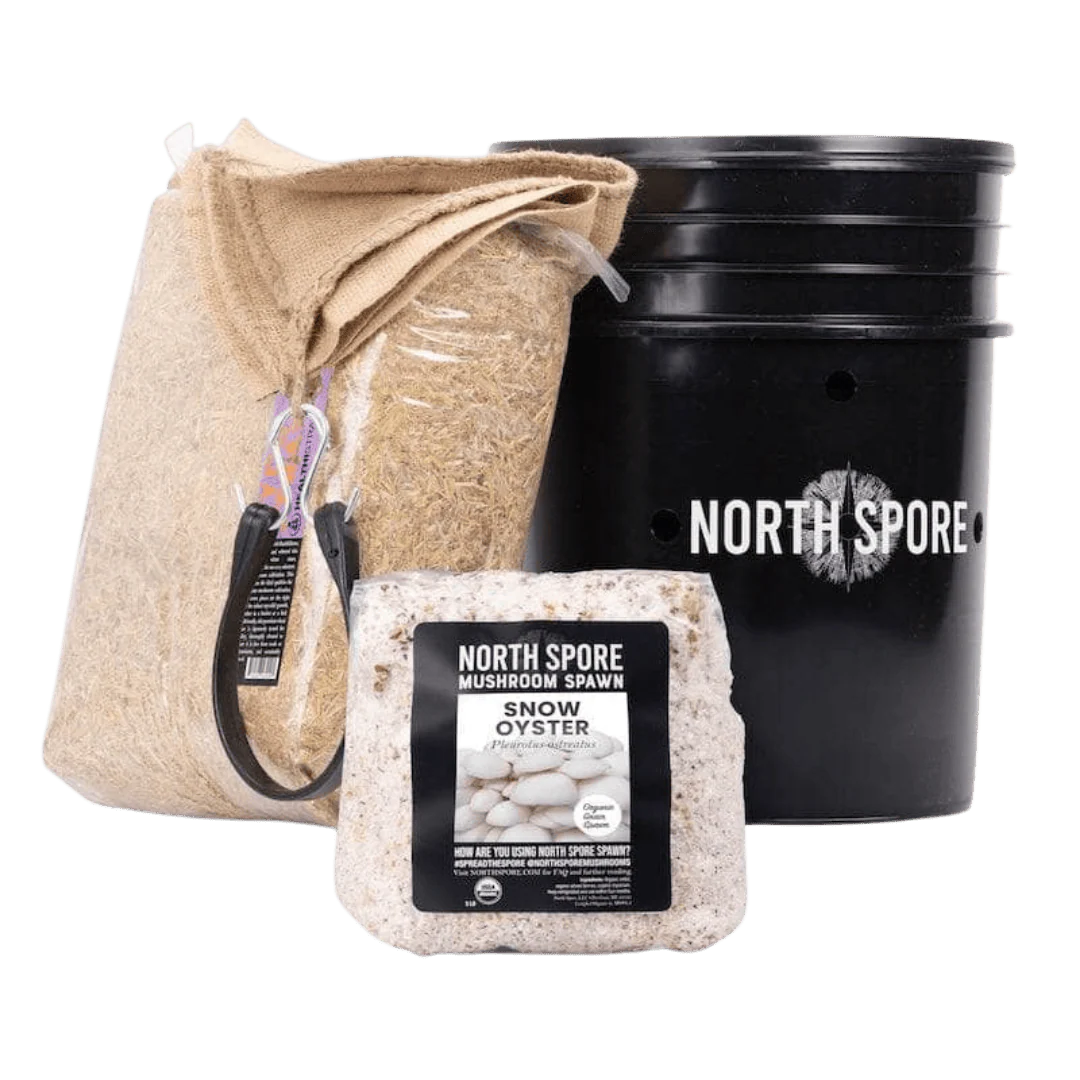 'MushBucket' Mushroom Bucket Grow Kit - Image 6