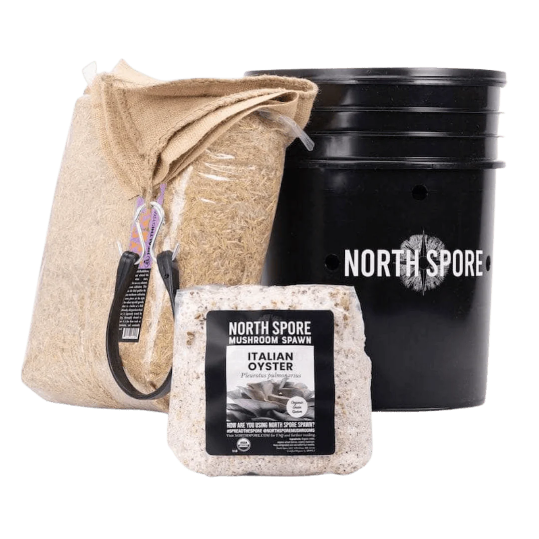 'MushBucket' Mushroom Bucket Grow Kit - Image 7