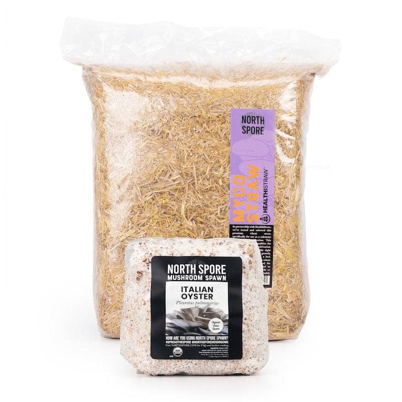 'MushBucket' Refill - Image 3
